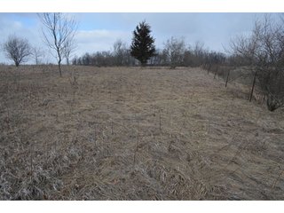 Property photo 59 - 127 Acres Offered in 8 Tracts - Allen & Dekalb County Land